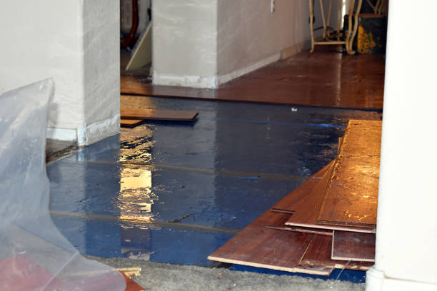 Professional Burst Pipe Cleanup technician working in Alleyton, TX